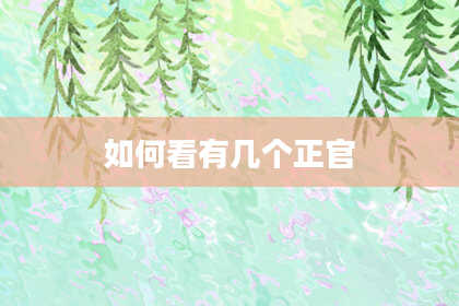 如何看有几个正官