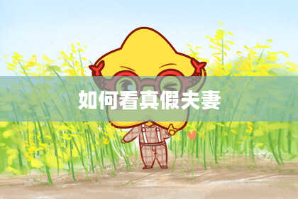 如何看真假夫妻