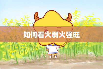 如何看火弱火强旺