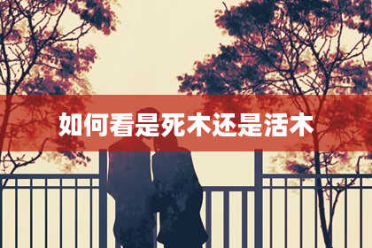 如何看是死木还是活木