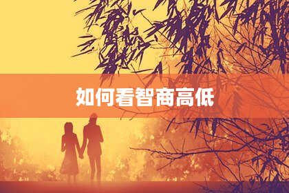 如何看智商高低