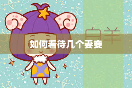 如何看待几个妻妾