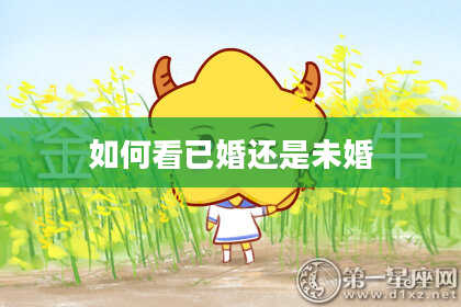如何看已婚还是未婚