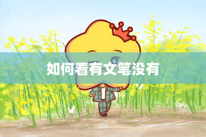 如何看有文笔没有