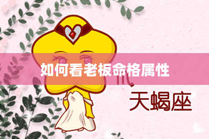 如何看老板命格属性