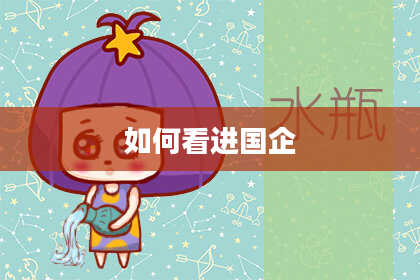 如何看进国企