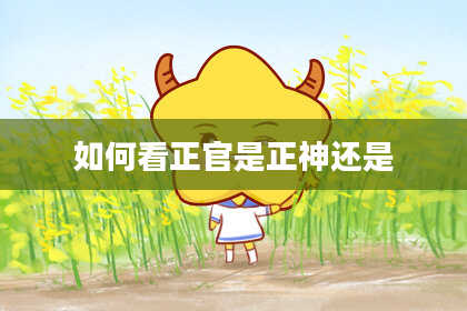 如何看正官是正神还是