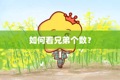 如何看兄弟个数?