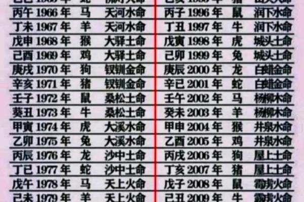 霹雳火命人适合的职业探讨：热情与创新的完美结合