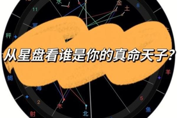 命格高的命局解析：揭示命运背后的秘密与潜力