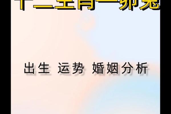 男性属相与命理：解析你的性格与运势之谜