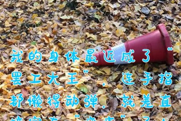 命里说身体欠佳，如何理解和调理？