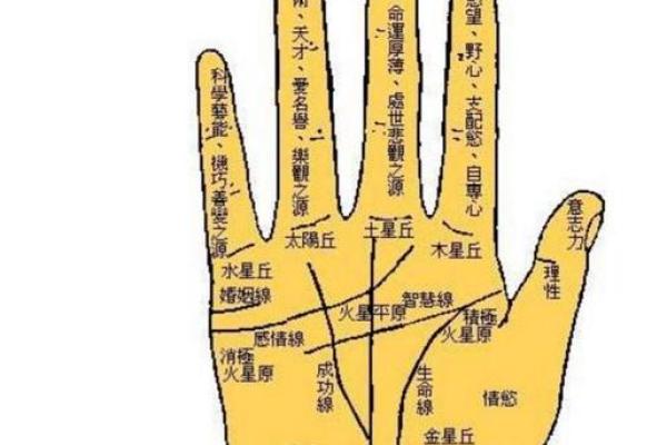 命带正宫加劫财，探秘命理中的财富与权势之道
