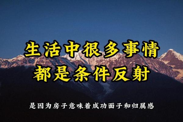 命格贵人解析：揭示人生中的贵人如何影响我们的命运与成长