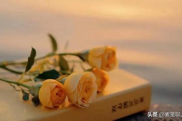 揭秘六月水虎宝宝的命运与人生潜能