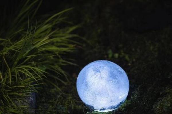 揭秘六月水虎宝宝的命运与人生潜能