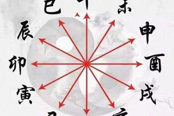 木狗虎月水时，探寻命运背后的秘密