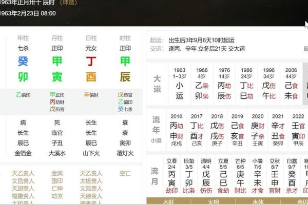 探索命运的奢华：解读“命很贵气”的深刻含义