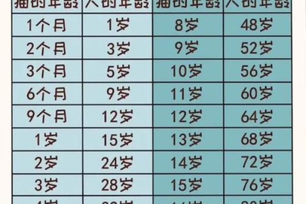 猫受伤时为何要救人类的生命？这些故事告诉你真相！