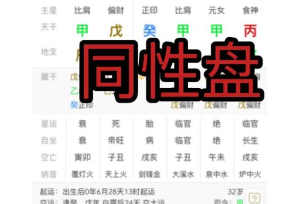 2023年出生人命运解析：探寻命理与生活的奥秘