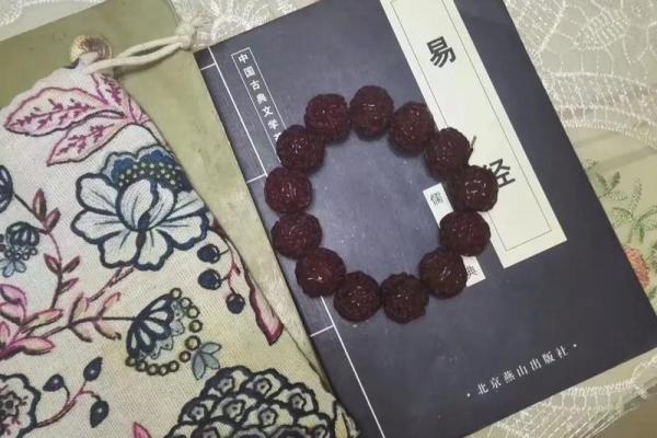 命贵与贵命：探寻生命价值的不同维度
