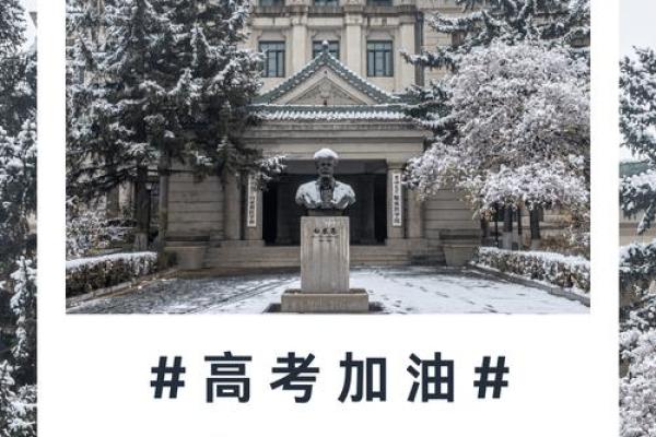 男海中金命：最佳配对与运势解析，助你人生更辉煌！