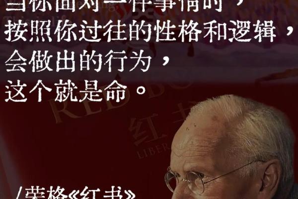 能被救的人是什么命：命运与选择的交织之旅