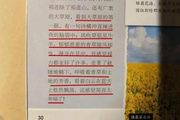 探秘决明子的土命：自然与能量的奇妙结合