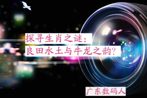 命运与生肖：探索九死一生的天子命运之谜