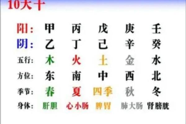 两庚两甲的命：解析八字命理中的神秘力量与人生智慧