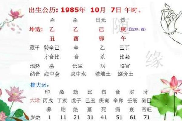 女命八字无食伤的解析与职业选择指南
