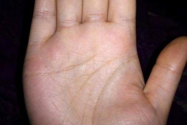 命理分析：水旺缺火，命运走向与调和之道探究