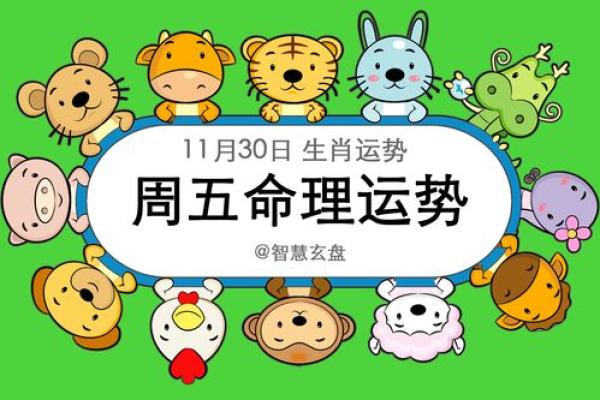 命卦与坐向相反的深层解读：命理中的智慧与启示