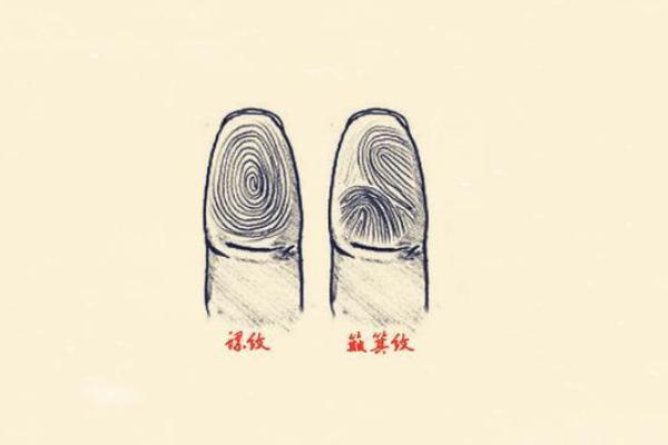 女人8个螺纹是什么命？揭秘命运背后的秘密！