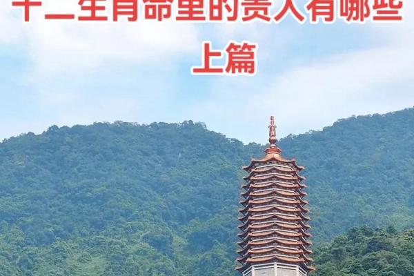 路旁土命羊生什么命孩子：揭秘十二生肖与五行的奥秘