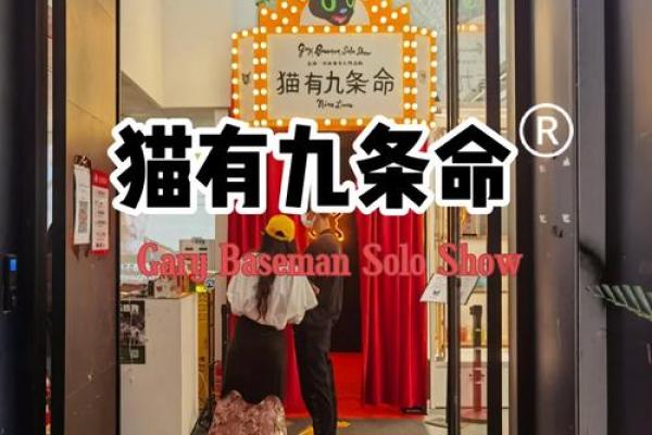 猫的九条命：探秘这神秘传说的来源与意义