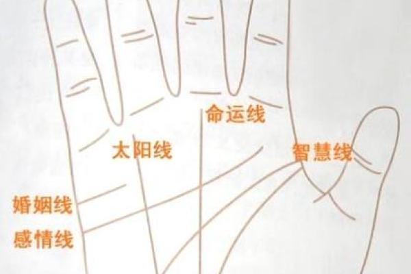 罗定1973年属什么命：探寻人与命运的关系