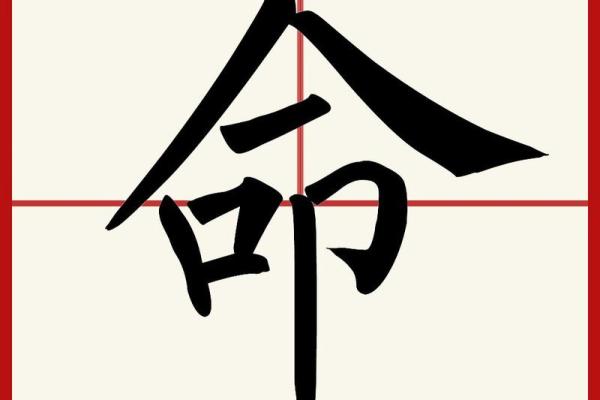 命中注定：揭示你出生时的秘密与命运的联系