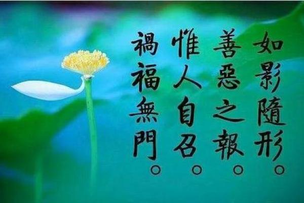 命格不可更改的秘密：探索命运的奥秘与哲学