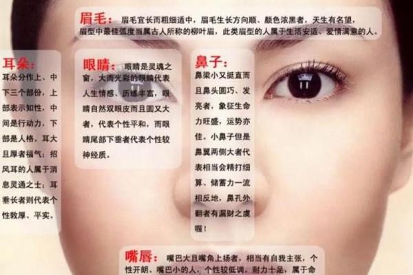 木命、水命、土命的深刻寓意与生活启示