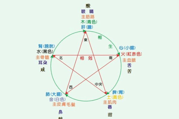 南昌话“心肝命肝”的深意与生活智慧