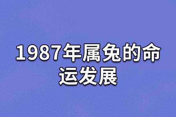 命里缺什么就会是什么命，命运与补运的奥秘探究