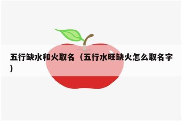 1991年的猪：五行命理解析与生活智慧