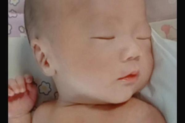 明年兔宝宝降生，揭秘新生儿的命运与个性！