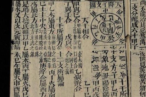 揭开命王之象的神秘面纱：命与运的无形交织