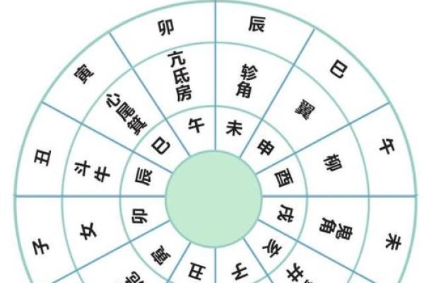 命书的流年：揭示生命中隐秘的时刻与转折点