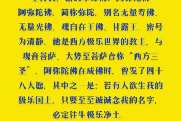 揭秘九四二零二零：男命的生肖命运大解析！
