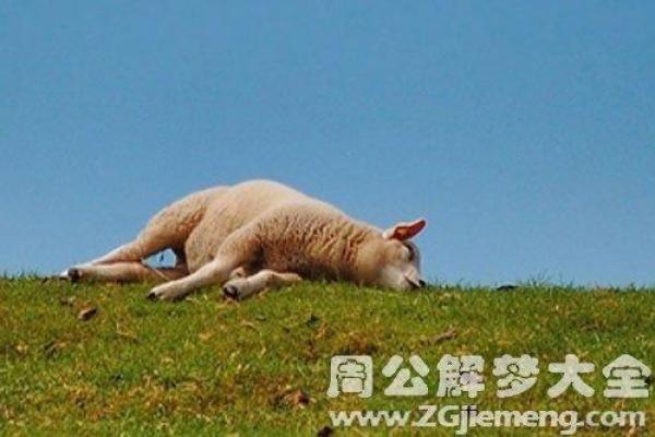 梦见以命换命失败的深层含义与解析