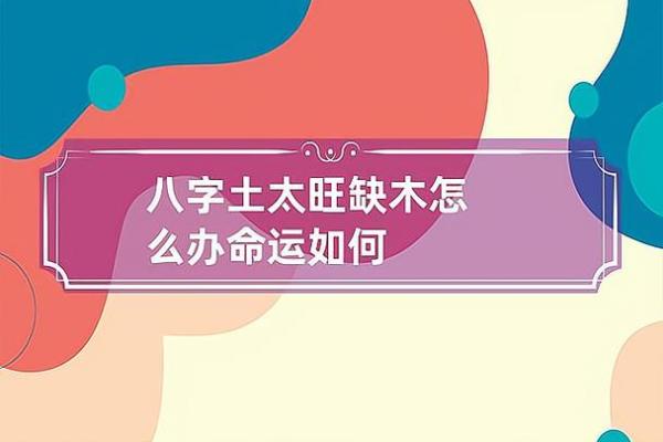 木命人的最好伴侣：识别与命理的完美结合
