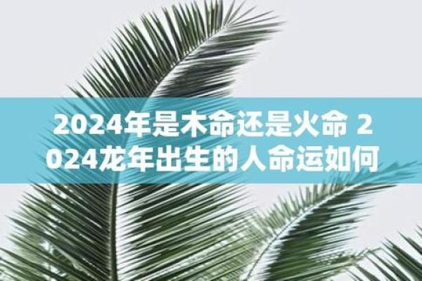 木命人的最好伴侣：识别与命理的完美结合